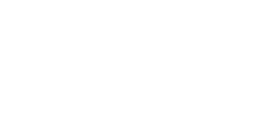 Ñandutee
